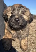 processed/40cf00a1-9683-406c-a1b1-1614f6c58ebf/listing/998bf458-4aeb-48ee-8542-5f1fdf5238cf/877d66af-3e53-439e-93bf-957477ade571