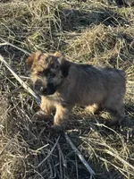 processed/40cf00a1-9683-406c-a1b1-1614f6c58ebf/listing/998bf458-4aeb-48ee-8542-5f1fdf5238cf/d304da2e-cc87-4cd5-9448-be775ee645cd