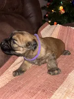 processed/40cf00a1-9683-406c-a1b1-1614f6c58ebf/listing/998bf458-4aeb-48ee-8542-5f1fdf5238cf/fc9f801d-ed53-4c91-958c-a62492ec2545