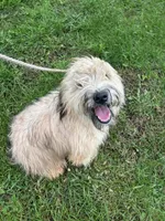 processed/40cf00a1-9683-406c-a1b1-1614f6c58ebf/listing/eab84b36-4f11-4152-a8fd-35461b94dd81/01d5267a-134c-4253-95c8-8656d72c1b21