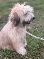 processed/40cf00a1-9683-406c-a1b1-1614f6c58ebf/listing/eab84b36-4f11-4152-a8fd-35461b94dd81/0c64a879-1343-4573-b3db-39b82049ec48