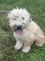 processed/40cf00a1-9683-406c-a1b1-1614f6c58ebf/listing/eab84b36-4f11-4152-a8fd-35461b94dd81/1bc117c4-1d9e-4f0d-8b9f-c2abe9f2b891