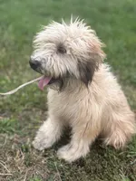 processed/40cf00a1-9683-406c-a1b1-1614f6c58ebf/listing/eab84b36-4f11-4152-a8fd-35461b94dd81/cf2553e2-684d-40f7-a513-b1f730d579cd