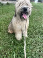 processed/40cf00a1-9683-406c-a1b1-1614f6c58ebf/listing/eab84b36-4f11-4152-a8fd-35461b94dd81/e05e271a-c172-4f38-8cb1-a05d30ffa008