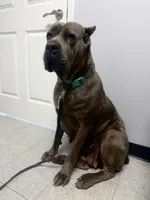 processed/40d10663-2df4-4e6f-87b4-48298d316c9b/facility/2eeb29b2-77af-4032-99c5-8ccef539b6c6