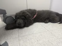 processed/40d10663-2df4-4e6f-87b4-48298d316c9b/facility/370aff04-a756-49ca-bff2-e8e847e11fcd