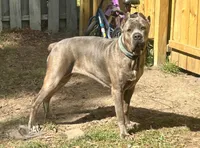 processed/40d10663-2df4-4e6f-87b4-48298d316c9b/facility/42ea1d72-08d6-4be9-b9eb-96262b40a7d1