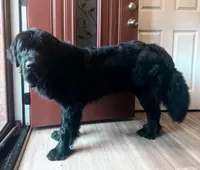 processed/40d10663-2df4-4e6f-87b4-48298d316c9b/facility/62c49038-f1a5-4a50-b8ac-5e40492b9697