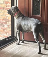 processed/40d10663-2df4-4e6f-87b4-48298d316c9b/facility/e2e9ea82-d3b2-4b7e-afbc-b0efc4aa6a65