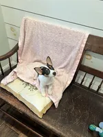 Dottie, a female Teddy Roosevelt Terrier for sale in Lenoir City, TN – 7 of 7