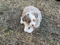 processed/40dd3f34-777a-4935-a36a-918ea89463a4/facility/4b3ed344-64cd-4de4-8662-51ed9caeb1a8