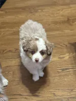 processed/40dd3f34-777a-4935-a36a-918ea89463a4/facility/7c64088c-a5fb-4f4a-8ba5-706af9dacb50