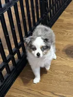 processed/40dd3f34-777a-4935-a36a-918ea89463a4/facility/bb818f84-5ddb-4069-aee2-52bb79d8c008