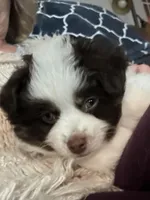 processed/40dd3f34-777a-4935-a36a-918ea89463a4/facility/d1f288ce-bd14-4eb4-af7e-f41e47262797