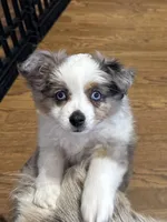 processed/40dd3f34-777a-4935-a36a-918ea89463a4/facility/f7f42f52-ca80-4b6b-b50d-5489e14bdbde