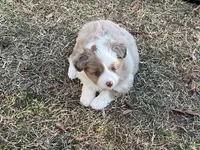 processed/40dd3f34-777a-4935-a36a-918ea89463a4/listing/0421e84f-f06d-46ae-a6ab-7313c8e571bf/27aae873-b0b4-4a3b-b718-4068c5f1e36f