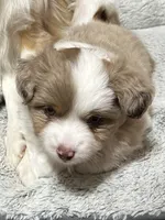 processed/40dd3f34-777a-4935-a36a-918ea89463a4/listing/0421e84f-f06d-46ae-a6ab-7313c8e571bf/2ada1a51-5cd7-4d68-825d-2739c727f495