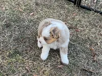 processed/40dd3f34-777a-4935-a36a-918ea89463a4/listing/0421e84f-f06d-46ae-a6ab-7313c8e571bf/53eb296a-2c80-468e-befc-7a07204827bb