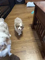 processed/40dd3f34-777a-4935-a36a-918ea89463a4/listing/0421e84f-f06d-46ae-a6ab-7313c8e571bf/5456df3a-d781-4c06-b616-7268c985e348