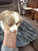 processed/40dd3f34-777a-4935-a36a-918ea89463a4/listing/0421e84f-f06d-46ae-a6ab-7313c8e571bf/61f99411-9018-4626-b066-74e858acb189