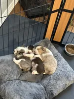 processed/40dd3f34-777a-4935-a36a-918ea89463a4/listing/0421e84f-f06d-46ae-a6ab-7313c8e571bf/d1d85576-a1c7-4ea8-9949-ccd54e66dc64