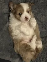 processed/40dd3f34-777a-4935-a36a-918ea89463a4/listing/0421e84f-f06d-46ae-a6ab-7313c8e571bf/dacb7dcd-8f55-4f90-a09e-32c7e8db942b