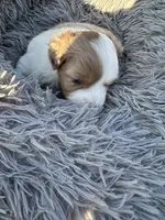 processed/40dd3f34-777a-4935-a36a-918ea89463a4/listing/0421e84f-f06d-46ae-a6ab-7313c8e571bf/e63c1e96-2fa1-4c20-bef9-882f862d1654