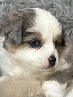 processed/40dd3f34-777a-4935-a36a-918ea89463a4/listing/b0c4dd66-7141-4adb-b98b-b8d2cffe5319/18989ace-772a-4a67-bbb0-ec03adcba899