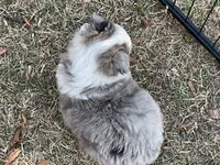 processed/40dd3f34-777a-4935-a36a-918ea89463a4/listing/b0c4dd66-7141-4adb-b98b-b8d2cffe5319/1bdd2c23-c747-40eb-b708-02f66b01768a