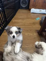 processed/40dd3f34-777a-4935-a36a-918ea89463a4/listing/b0c4dd66-7141-4adb-b98b-b8d2cffe5319/2cebcda6-5736-4a8b-bd5f-c17f358fb047