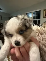 processed/40dd3f34-777a-4935-a36a-918ea89463a4/listing/b0c4dd66-7141-4adb-b98b-b8d2cffe5319/84024a0d-6932-42fb-a0fc-2cdc5028e306