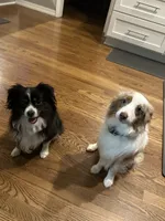 processed/40dd3f34-777a-4935-a36a-918ea89463a4/listing/b0c4dd66-7141-4adb-b98b-b8d2cffe5319/8f7180fb-6327-4a92-8536-a06385ff4f45