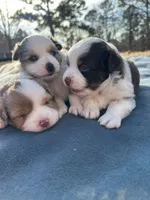 processed/40dd3f34-777a-4935-a36a-918ea89463a4/listing/b0c4dd66-7141-4adb-b98b-b8d2cffe5319/eed37063-81a3-4ee3-9e2c-4cd01580ee70