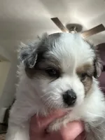 processed/40dd3f34-777a-4935-a36a-918ea89463a4/listing/b0c4dd66-7141-4adb-b98b-b8d2cffe5319/f42f6650-5eff-4921-897d-25f11a980ed3