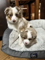 processed/40dd3f34-777a-4935-a36a-918ea89463a4/listing/eb58e121-c113-4e65-995b-f7ed026cdc83/0129c00e-f923-4ed4-b360-1db128a20852