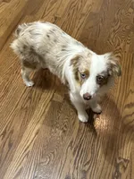 processed/40dd3f34-777a-4935-a36a-918ea89463a4/listing/eb58e121-c113-4e65-995b-f7ed026cdc83/07ed66ac-1ab4-491e-8c03-a873c5ae9aa3