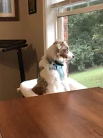 processed/40dd3f34-777a-4935-a36a-918ea89463a4/listing/eb58e121-c113-4e65-995b-f7ed026cdc83/13caca63-fef8-4bab-9183-f5b3147d19bf