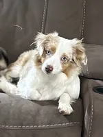 processed/40dd3f34-777a-4935-a36a-918ea89463a4/listing/eb58e121-c113-4e65-995b-f7ed026cdc83/14d8eea1-5922-4b69-8649-529edab2d051