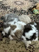 processed/40dd3f34-777a-4935-a36a-918ea89463a4/listing/eb58e121-c113-4e65-995b-f7ed026cdc83/2744eea0-41ce-41e6-9a4d-26aa10a4331a