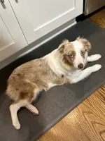 processed/40dd3f34-777a-4935-a36a-918ea89463a4/listing/eb58e121-c113-4e65-995b-f7ed026cdc83/29b78678-14d5-411a-b833-7c913304f0a6