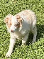 processed/40dd3f34-777a-4935-a36a-918ea89463a4/listing/eb58e121-c113-4e65-995b-f7ed026cdc83/3d891303-514d-408f-902e-0059606c1cdc