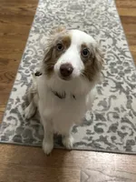 processed/40dd3f34-777a-4935-a36a-918ea89463a4/listing/eb58e121-c113-4e65-995b-f7ed026cdc83/db37936b-c9f7-4d10-9fcd-da5b269a58a7