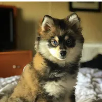 processed/40e0830d-258a-476e-a9f2-79045751268e/facility/32049949-51a8-484b-8513-5a8b8e45175b