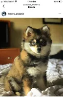 processed/40e0830d-258a-476e-a9f2-79045751268e/facility/32049949-51a8-484b-8513-5a8b8e45175b