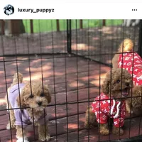 processed/40e0830d-258a-476e-a9f2-79045751268e/facility/4cea6c98-f56d-4e1b-beb2-f5bf2b7f3a67