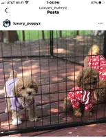 processed/40e0830d-258a-476e-a9f2-79045751268e/facility/4cea6c98-f56d-4e1b-beb2-f5bf2b7f3a67