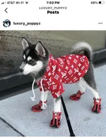 processed/40e0830d-258a-476e-a9f2-79045751268e/facility/54dddb1a-36c1-4aff-8e83-00f004ba9a5e