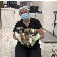 processed/40e0830d-258a-476e-a9f2-79045751268e/facility/76982dd9-fc50-4d76-b1d9-9ed12d544f9e