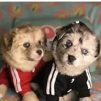 processed/40e0830d-258a-476e-a9f2-79045751268e/facility/7b07b4c3-f1d5-49d5-8f24-1731d441dc0d