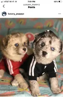 processed/40e0830d-258a-476e-a9f2-79045751268e/facility/7b07b4c3-f1d5-49d5-8f24-1731d441dc0d